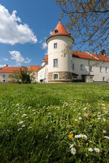 Ravno polje